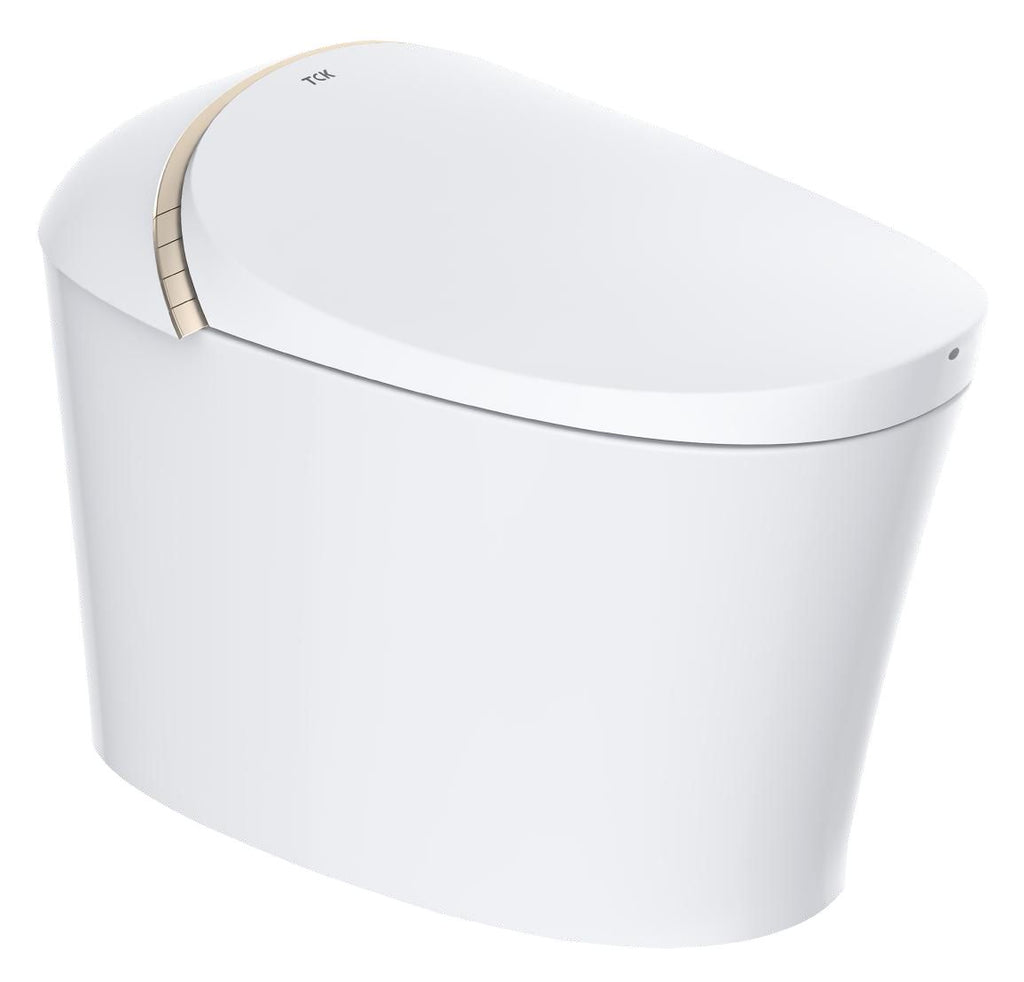 EVERSTEIN Multi-function Smart Toilet