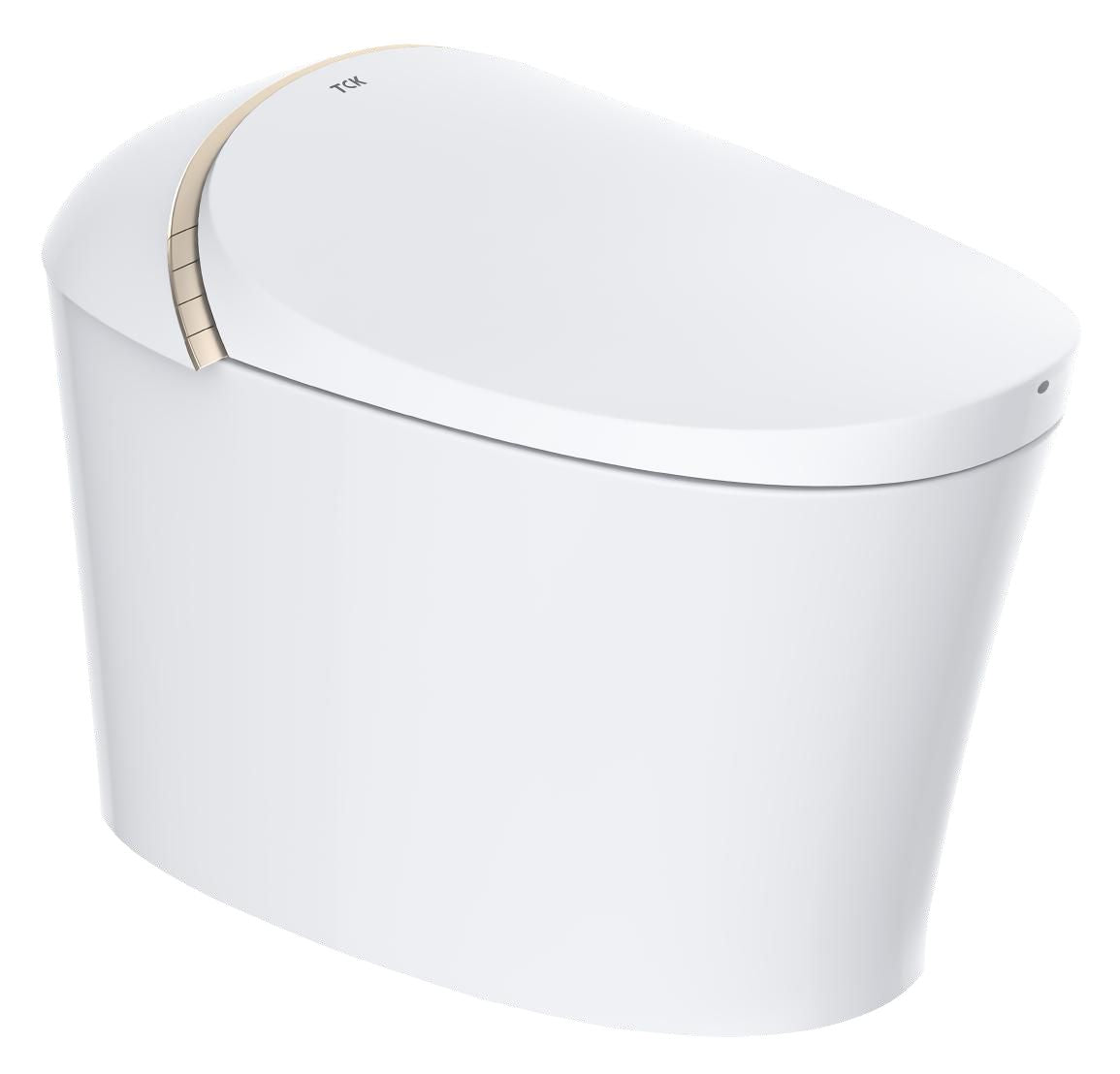 EVERSTEIN Multi-function Smart Toilet